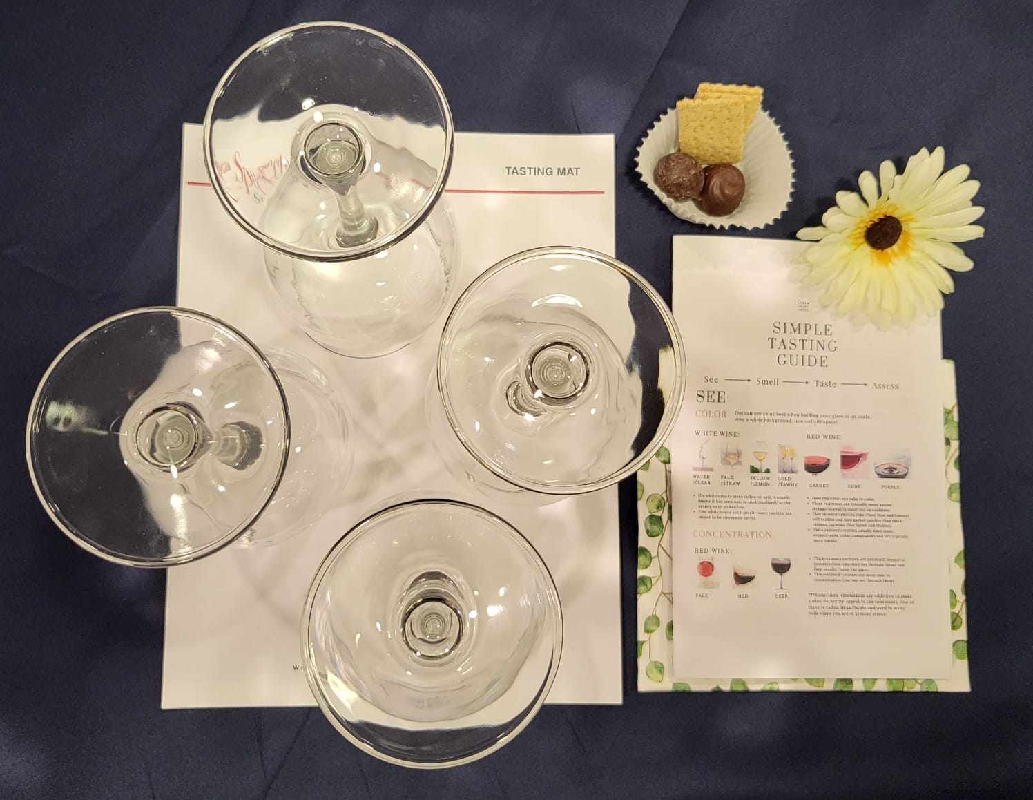 March Wine tasting 2024